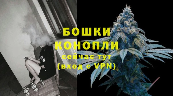 твердый Верхний Тагил