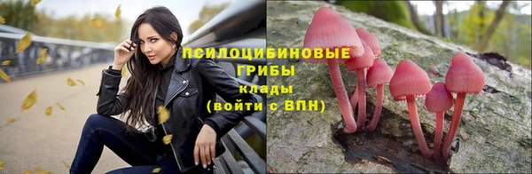 твердый Верхний Тагил
